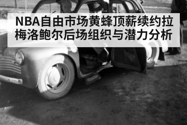 NBA自由市场黄蜂顶薪续约拉梅洛鲍尔后场组织与潜力分析